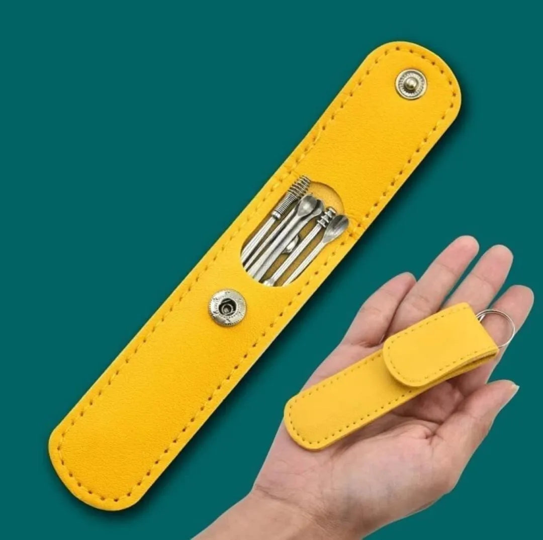 Portable Stainless Steel Ear Cleaning Tool Kit